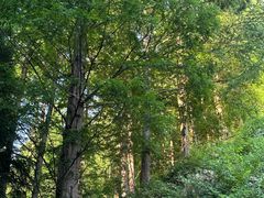 -东天目山风景区