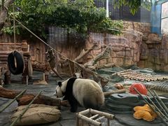 -泉州海丝野生动物世界