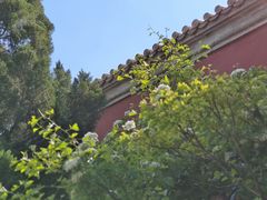 -北京市劳动人民文化宫(太庙)