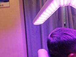 -碧莲盛·不剃发植发