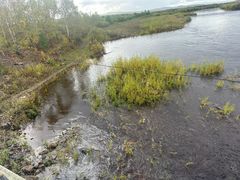 -北极村旅游风景区