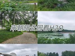 -朝阳公园