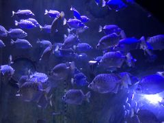 -成都浩海立方海洋公园