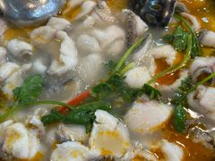 -大鼎石锅鱼(春江里店)