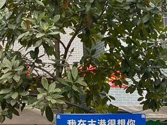 -黄埔古港