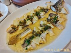 鸡油开刀蒸大黄鱼-上海会馆(香港名都店)
