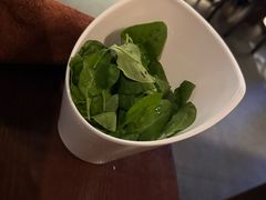 益肝枸杞叶-同仁四季椰子鸡(海岸城天利店)