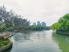 -运河游船(武林门码头)