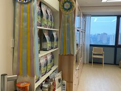 -猫十亿·布偶金渐层·曼基康矮脚猫舍(青年路店)