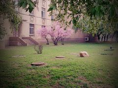 -辽宁大学(崇山校区)