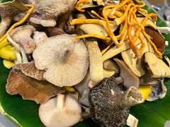 -野菌园·野生菌火锅首创第一家(关兴路总店)