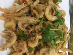 -烁佳海鲜大馅饺子