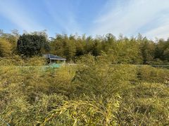 -陶祖圣境风景区