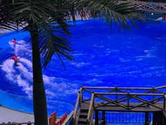 -海合安成都极地海洋公园