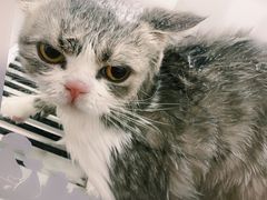 -宠颐生宠物医院·骨外科·犬猫全科诊疗中心(池州店)