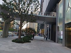 -深圳湾万象城(南山店)