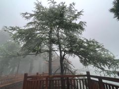 -南岳衡山风景名胜区