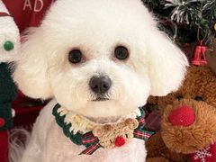 -宠颐生汉谟拉比宠物医院