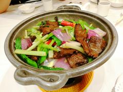 金不换窝烧牛小排-山泉公馆酒家(珠江新城店)