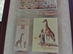 -北京动物园-畅观楼