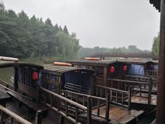 -溱湖国家湿地公园