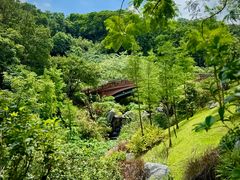 -云溪植物园