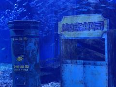 -海合安武汉极地海洋公园