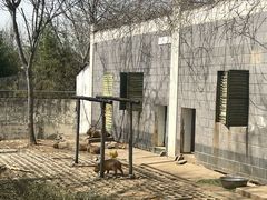 -合肥野生动物园