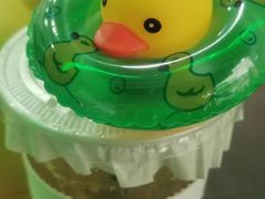 -LINLEE林里·手打柠檬茶(海曙天一广场店)