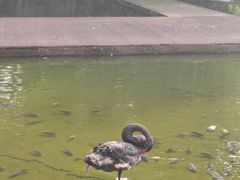 -海南热带野生动植物园
