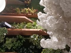 -付掌柜在成都·热炒砂锅集(金禾店)