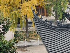 -上海东林寺(金山区)