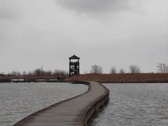 -盐城丹顶鹤湿地生态旅游区