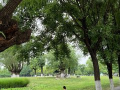 -汉长安城未央宫国家考古遗址公园