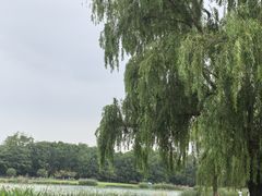 -钟山体育运动公园