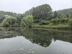 -河南省黄河迎宾馆