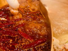 鸳鸯锅-小龙坎火锅(全球总店)