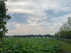 -嘉北郊野公园