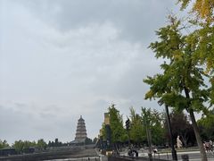 -大雁塔北广场音乐喷泉