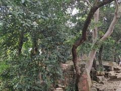 -雨花胜境