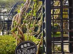 -青岛鑫江温德姆酒店