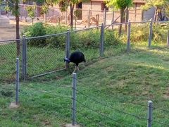 -石家庄市动物园