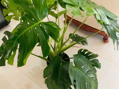 -木子塘汗蒸生活馆(财富港店)