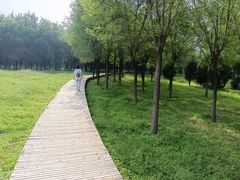 -马家湾湿地公园