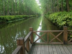 -合肥滨湖国家森林公园