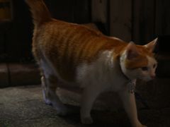 -永和鱼丸(南后街店)