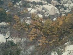 -崂山巨峰游览区