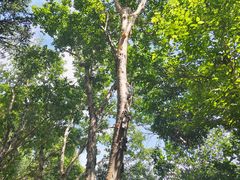 -白草畔自然风景区