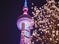 -东方明珠广播电视塔