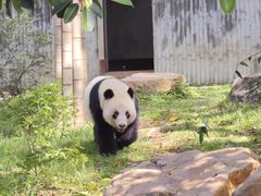 -广州动物园